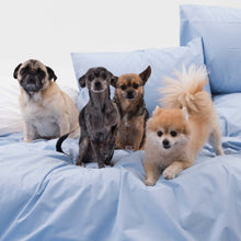 Load image into Gallery viewer, Luxe Flat Sheet - Last Call
