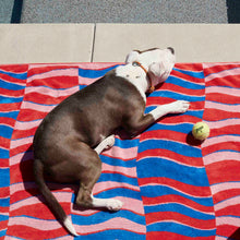 Load image into Gallery viewer, Beach Towel

