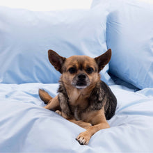 Load image into Gallery viewer, Classic Split King Sheet Set
