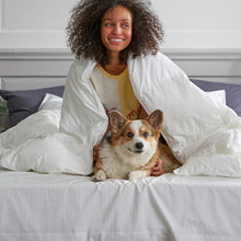 Load image into Gallery viewer, Classic Flat Sheet

